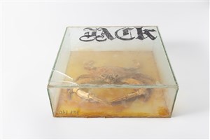 Image description is not available for 2011.37.1